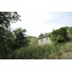 Search_FARMHOUSE TO BE RESTORED FOR SALE IN MONTEFIORE DELL'ASO, IMMERSED IN THE ROLLING HILLS OF THE MARCHE , in the Marche region of Italy in Le Marche_13